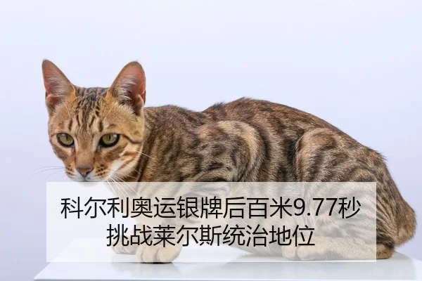 ke-er-li-ao-yun-yin-pai-hou-bai-mi-miao-tiao-zhan-lai-er-si-tong-zhi-di-wei-2-178.jpg